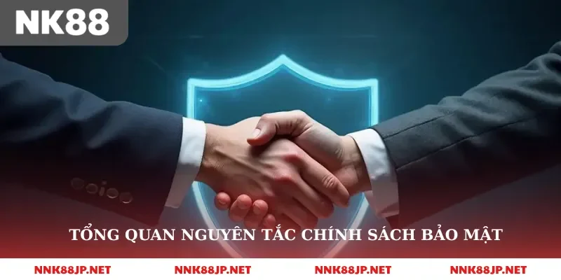 tổng quan nguyên tắc chính sách bảo mật